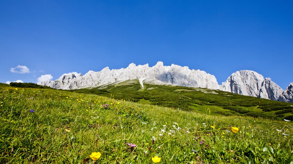 © TV Hochsteiermark | Tom Lamm