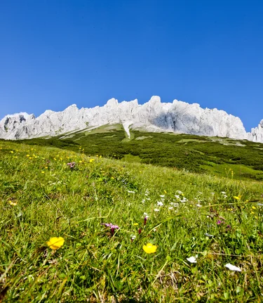 © TV Hochsteiermark | Tom Lamm