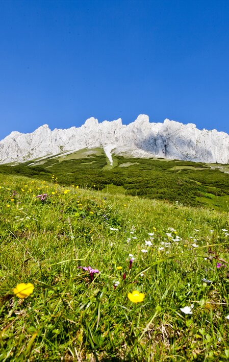 © TV Hochsteiermark | Tom Lamm