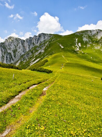 © TV Hochsteiermark | Tom Lamm