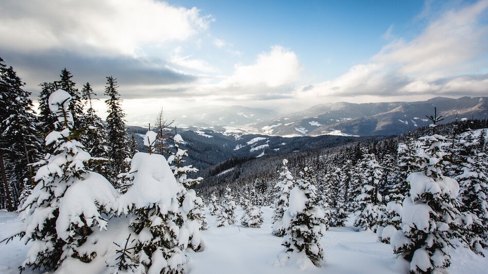 Spital am Semmering - Impression #2.6