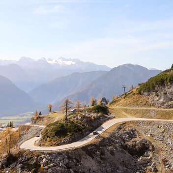 Blick von der Loser-Alm zum Dachsteingletscher | Friedinger | © Busreisen Steiermark
