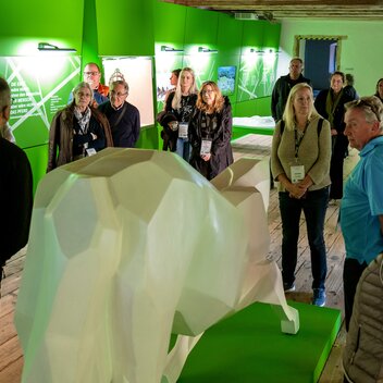 Führung am Lipizzanergestüt in Piber | Friedinger | © Busreisen Steiermark