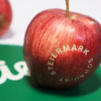 STEIERMARK SCHAU Apfel | B. Friedinger | © Busreisen Steiermark