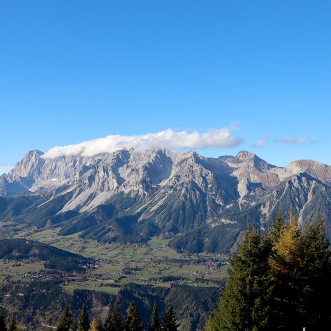 Dachsteinblick von der Schafalm | © Busreisen Steiermark | Barbara Friedinger | © Busreisen Steiermark