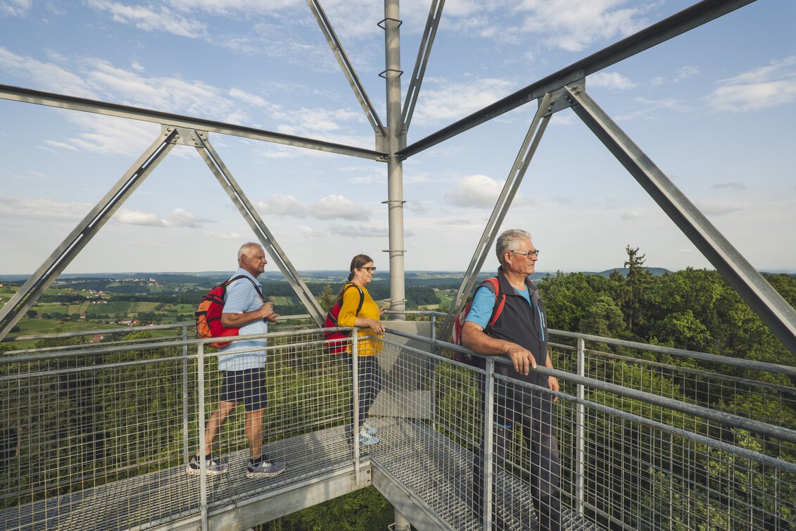 Aussichtswarte Frutten-Gießelsdorf | © Steirisches Vulkanland | Bernhard Bergmann | © Steirisches Vulkanland