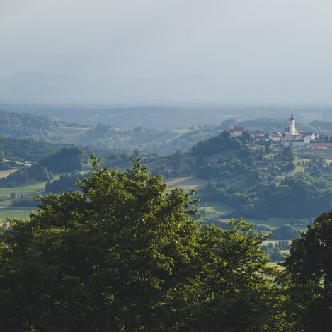 Auf den Spuren der Vulkane | © Steirisches Vulkanland | Bernhard Bergmann | © Steirisches Vulkanland