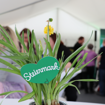 Steiermark | L. Stranz | © Gruppenreisen Steiermark