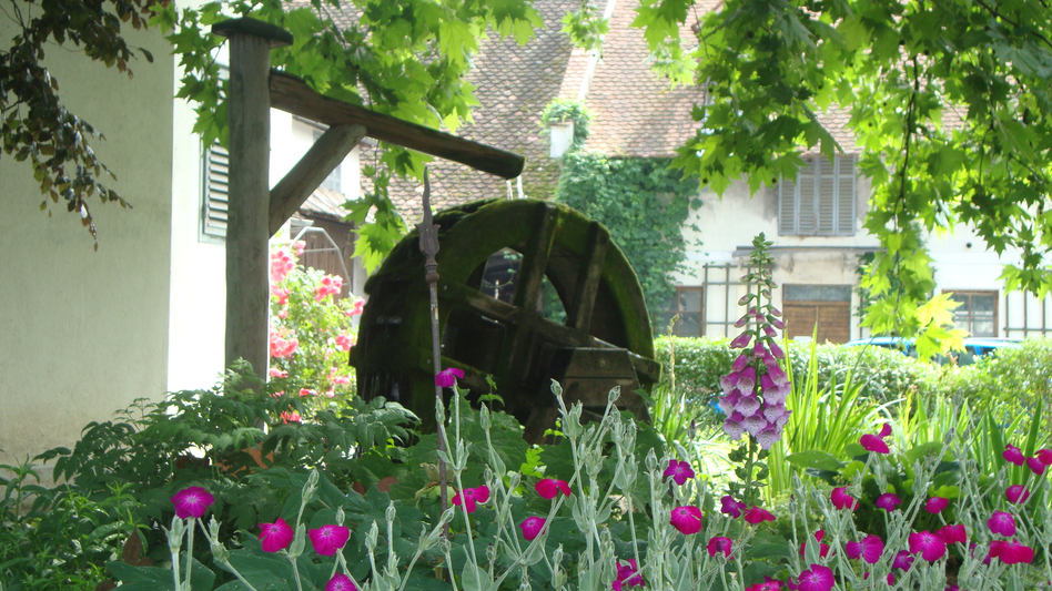 Wasserrad im Mühlenhofgarten | © Berghofer-Mühle