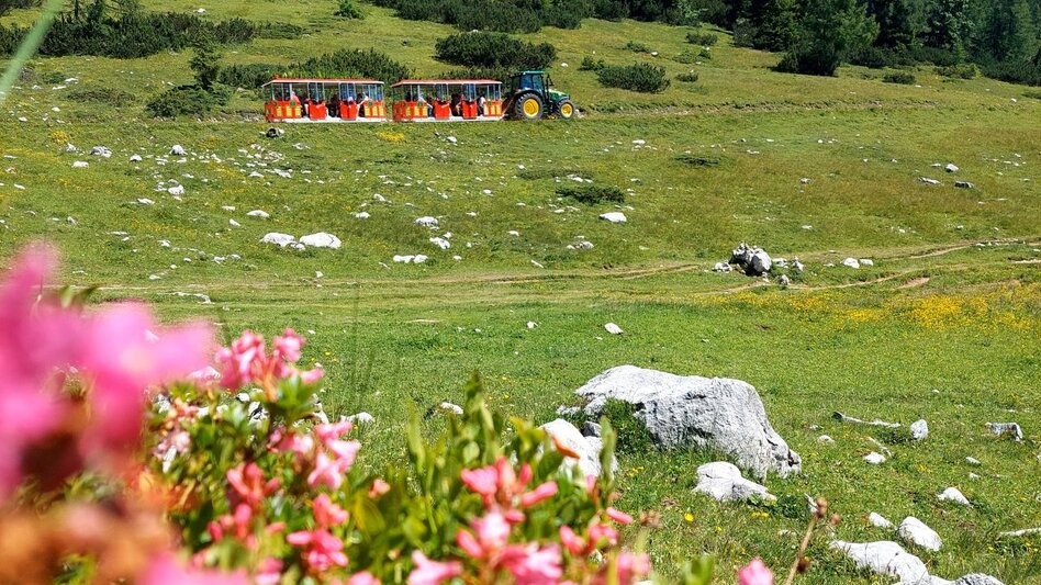 Panoramafahrt Tauplitzalm zu hohen Bergen und klaren Seen | © www.hollhaus.at