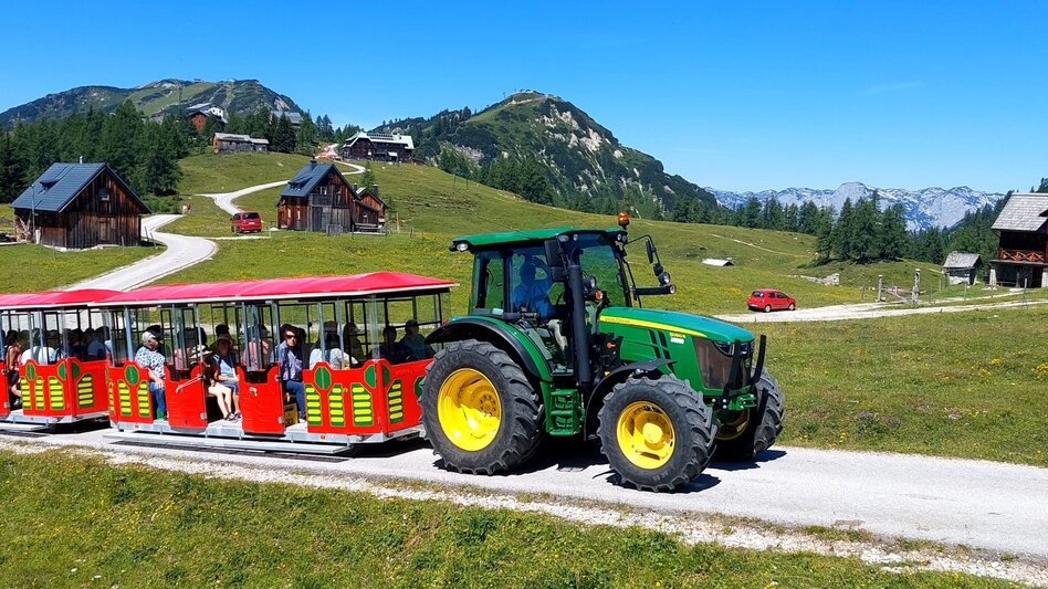 Bummelzug Panoramafahrt auf der Tauplitzalm  | © www.hollhaus.at