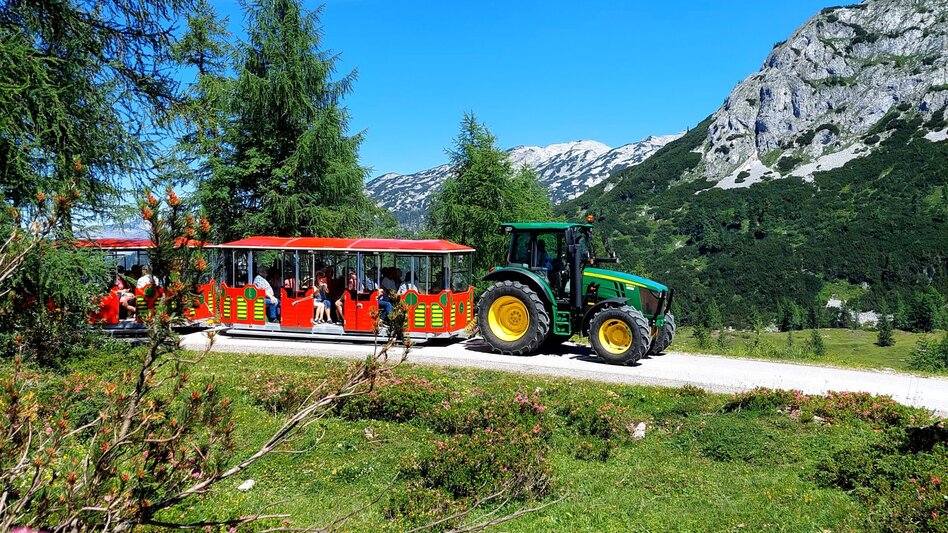 Themen- und Genussfahrten zur Almrauchblüte und zu den goldenen Lärchen | © www.hollhaus.at