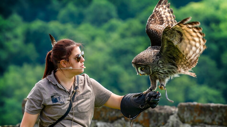 Greifvogelvorführung | © Burg Riegersburg
