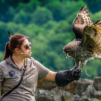 Greifvogelvorführung | Rudi FERDER | © Burg Riegersburg