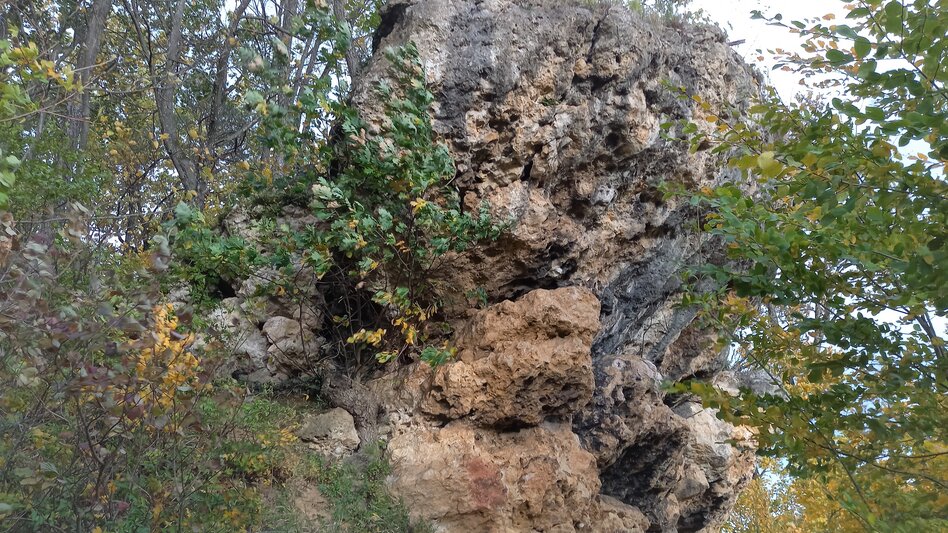 Muschelkalkwand im Weingarten  | © Busreisen Steiermark 