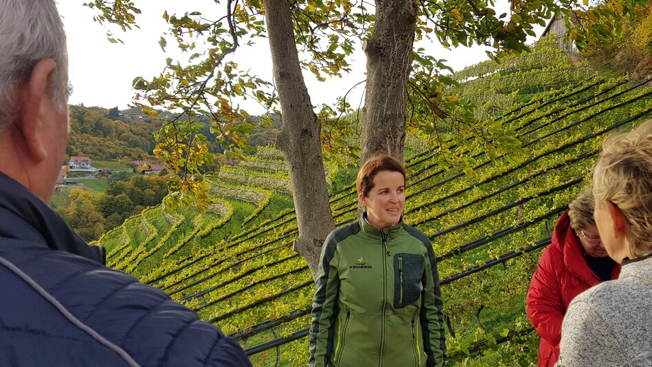 Weingartenführung | © Busreisen Steiermark 