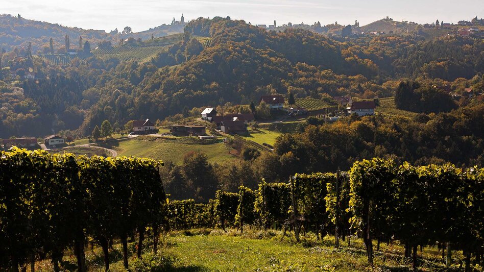 Blick auf Kitzeck | © Busreisen Steiermark