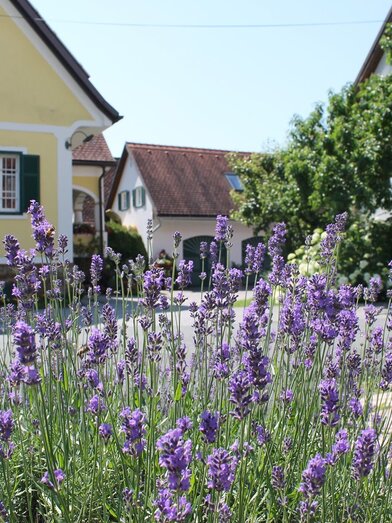 Zu Gast am Erlebnis- und Genusshof | Julia Rabensteiner | © Farmer Rabensteiner
