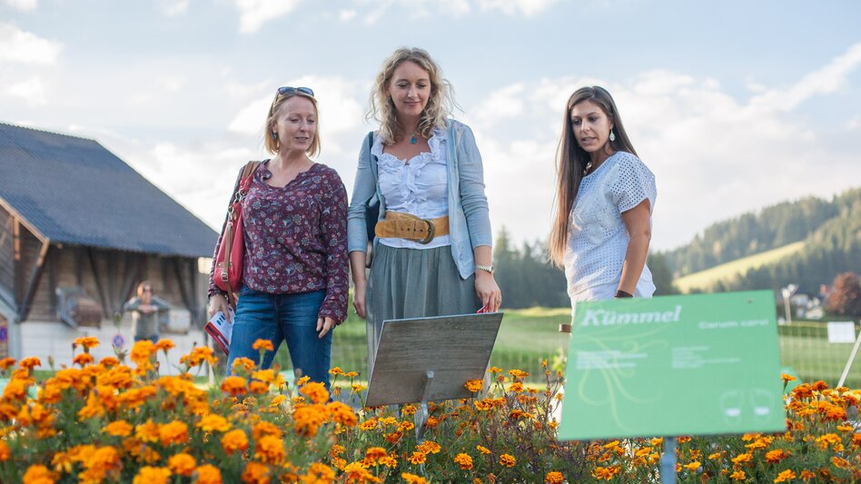 Besichtigung des Kräutergartens | © Busreisen Steiermark