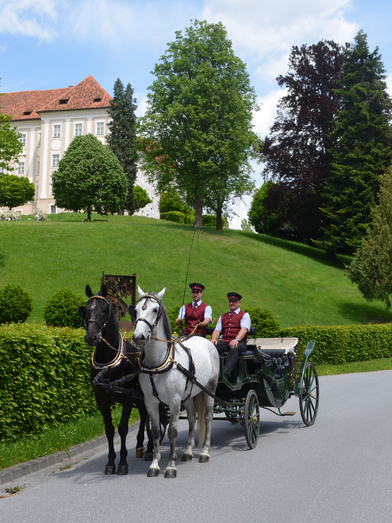 Kutschenfahrt bei Schloss Piber | © Spanische Hofreitschule - Lipizzanergestüt Piber GöR