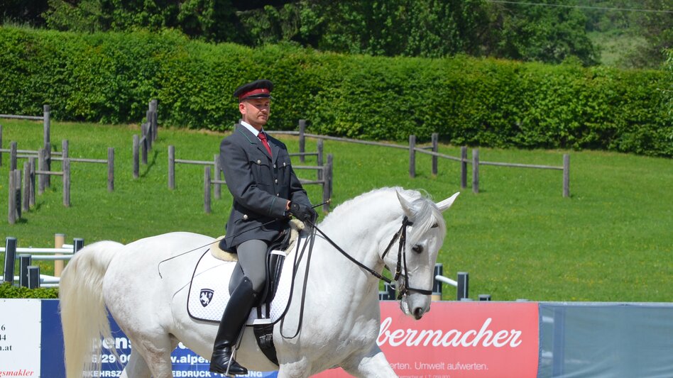 Lipizzaner beim Wettbewerb | © Spanische Hofreitschule - Lipizzanergestüt Piber GöR
