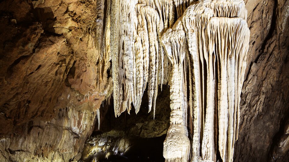 Piniengruppe | © Lurgrotte Semriach