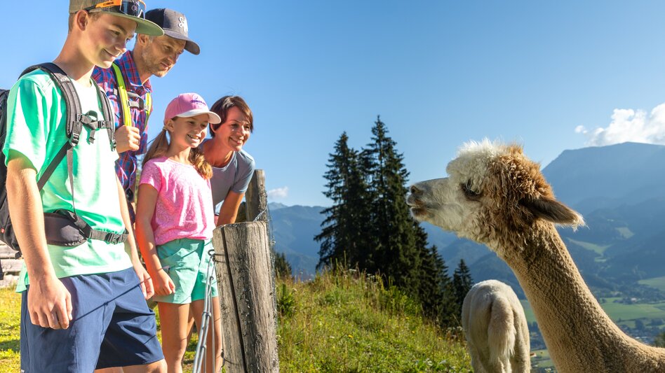  - Impression #2.4 | © Planai-Hochwurzen-Bahnen