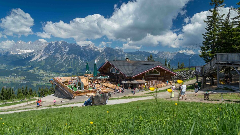 Schaf-Alm im Sommer | © Harald Steiner