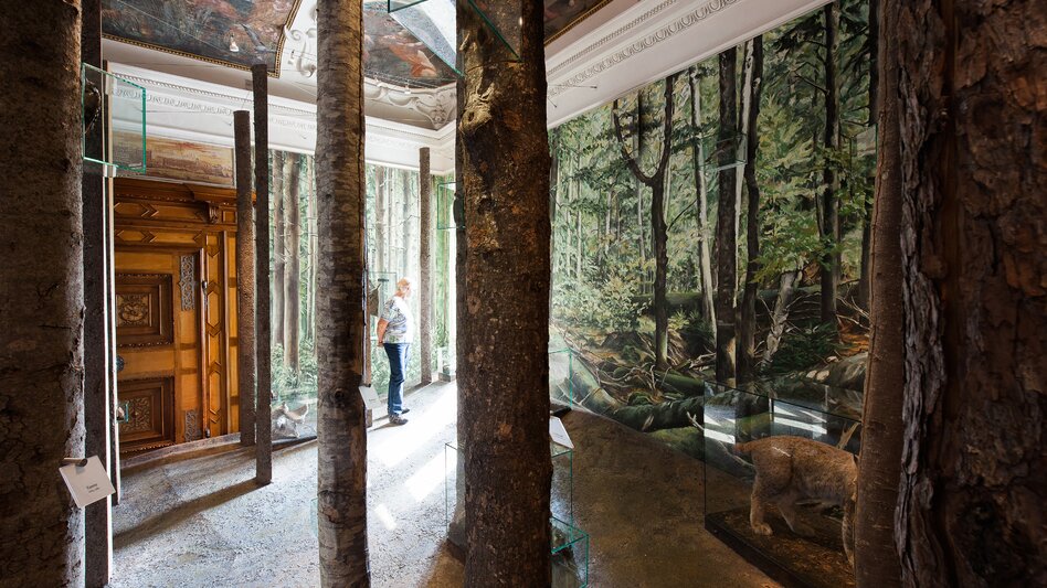 Landschaftsmuseum im Schloss Trautenfels | © UMJ - Schloss Trautenfels