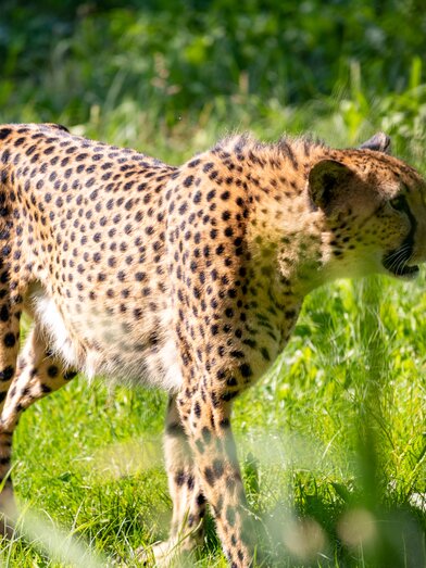 © Harry Schiffer Photodesign | HARRY SCHIFFER PHOTODESIGN