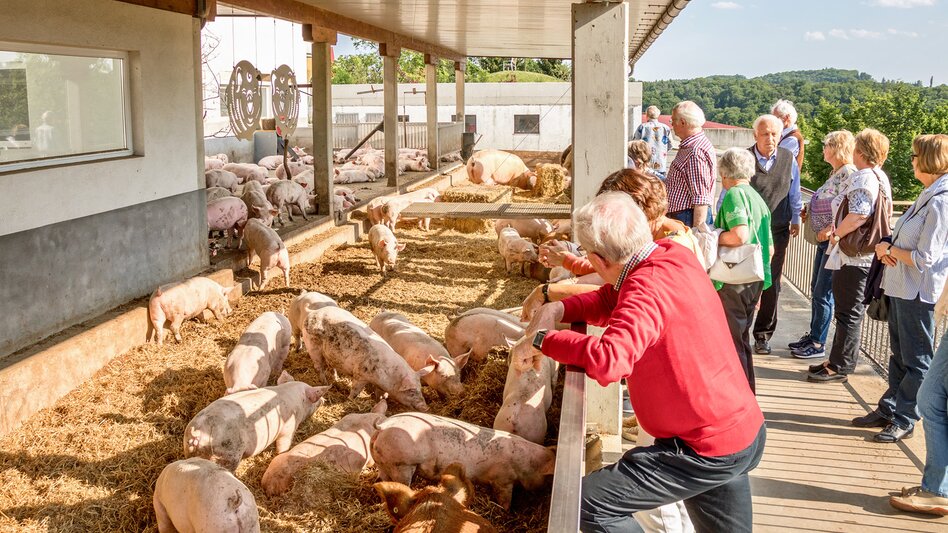  - Impression #2.7 | © Vulcano