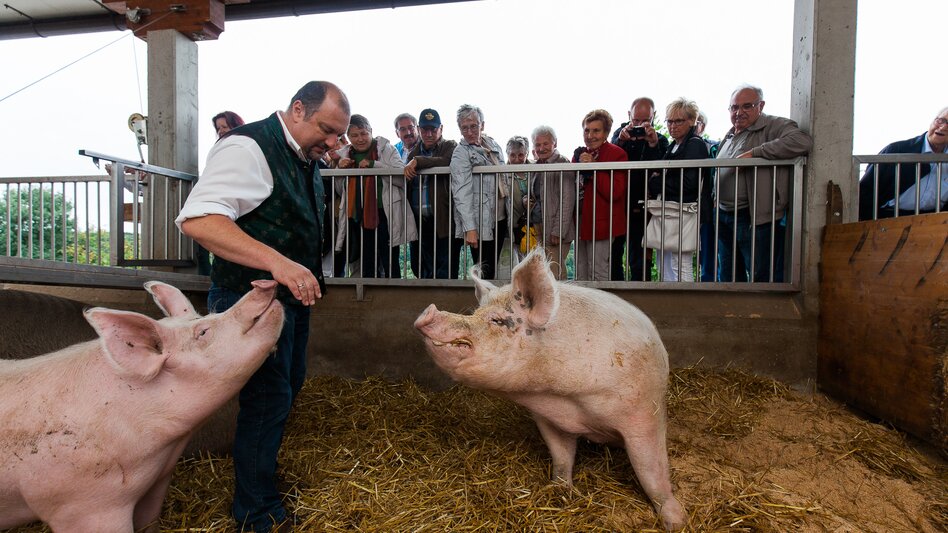 im Schweinestall | © Busreisen Steiermark