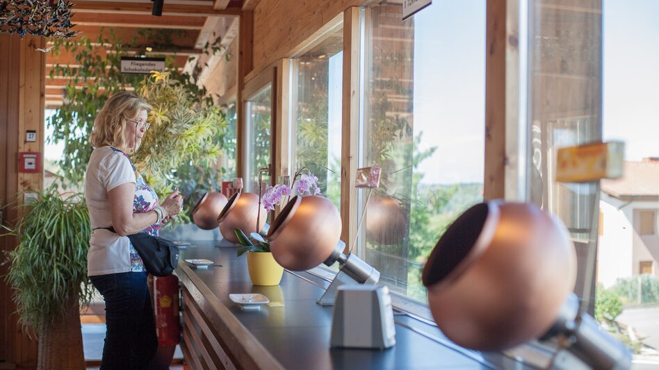 Schokoverkostung | © Busreisen Steiermark