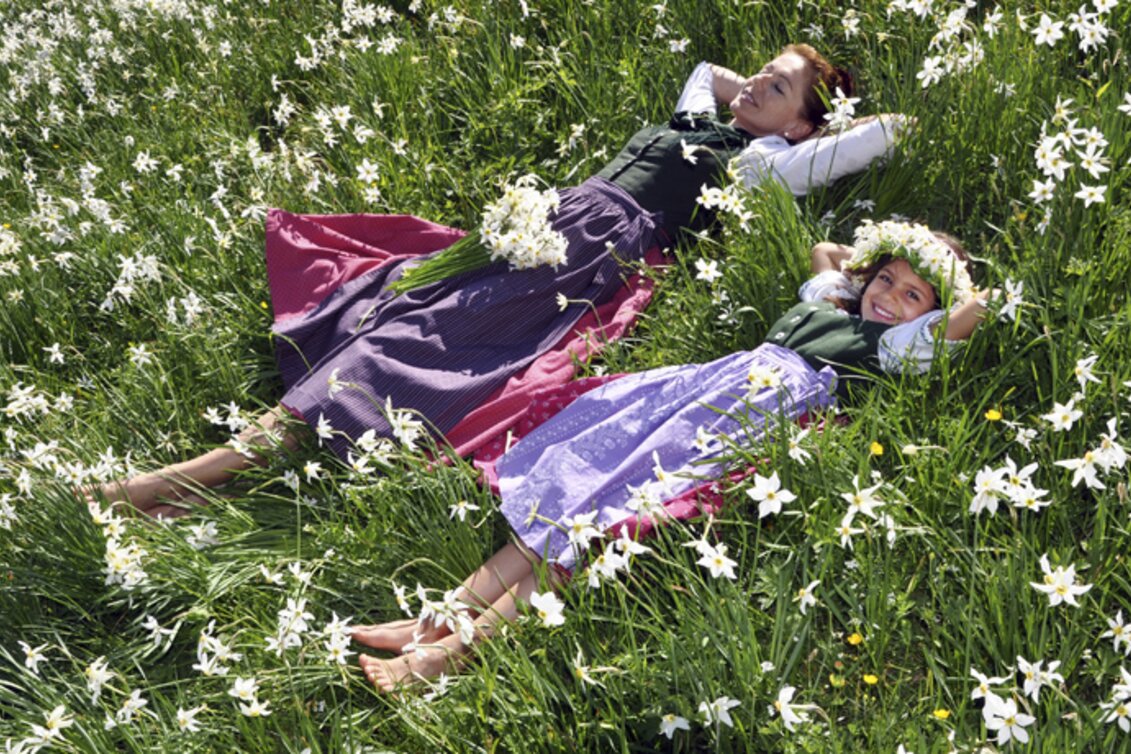 PackageNarzissenfest - 