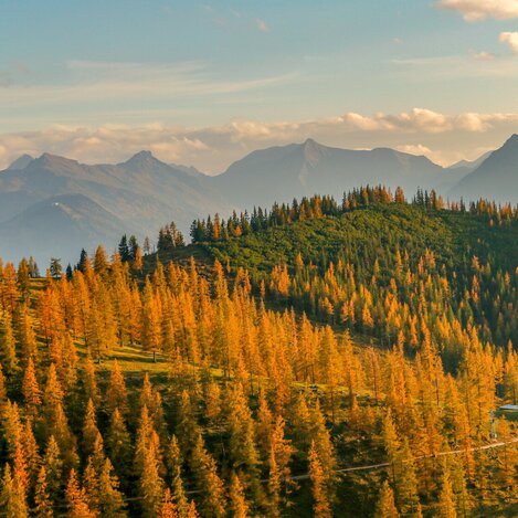 Sommerbilder | © Michaela Simonlehner | Michael Simonlehner