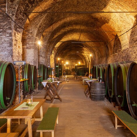 © Schloss Seggau | Janez Kotar