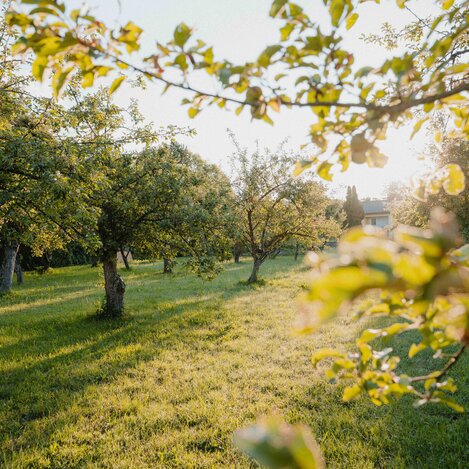 © Gartenhotel Ochensberger | CM Visuals | © Gartenhotel Ochensberger