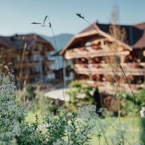 © Natur- und Wellnesshotel Höflehner | Wolfgang Hummer