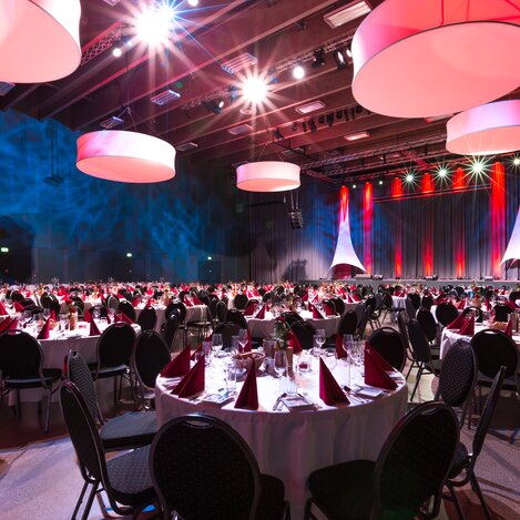 © Copyright: Foto Harald Steiner | Photographer: Harald Steiner