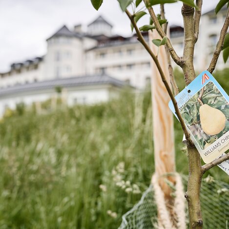 © IMLAUER Hotel Schloss Pichlarn