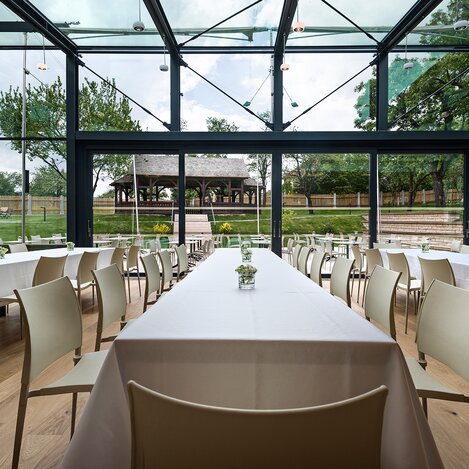 © Copyright Philip Platzer, All Rights Reserved