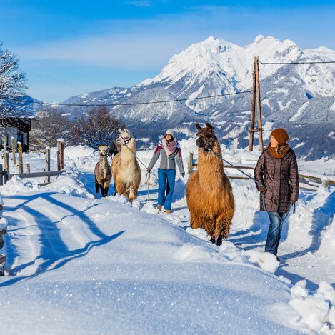 © René Eduard Perhab | RENE EDUARD PERHAB  reneperhab.at