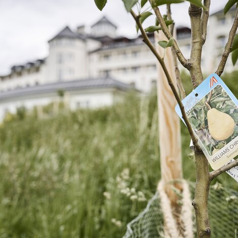 © IMLAUER Hotel Schloss Pichlarn | | thomas sattler