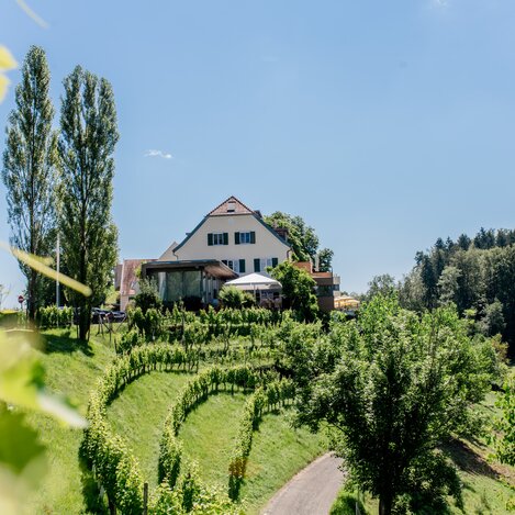 © Manfred Ramminger