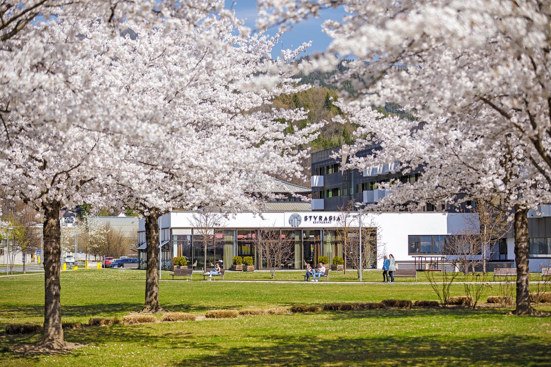 © Asia Hotel & Spa Leoben | C. Wöckinger | © Asia Hotel & Spa Leoben | C. Wöckinger