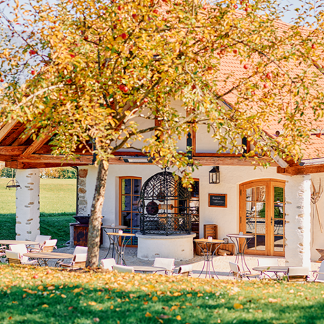 © Philip Platzer_TAUROA