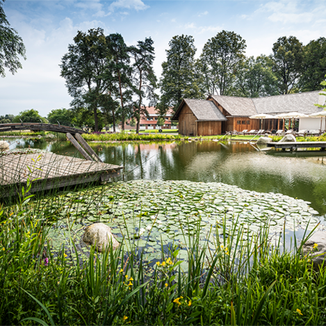 © Philip Platzer_TAUROA