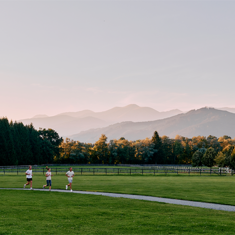 © Philip Platzer_TAUROA