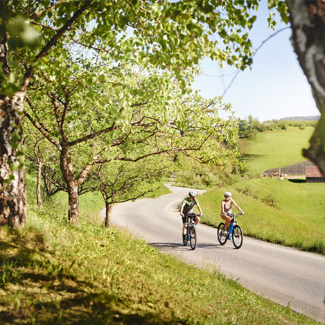 © Michael Königshofer