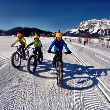 © alpinefatbike.com - Michael Stix | alpinefatbike.com - Michael Stix